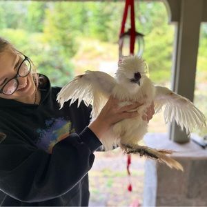 Meet your Posher, Mya